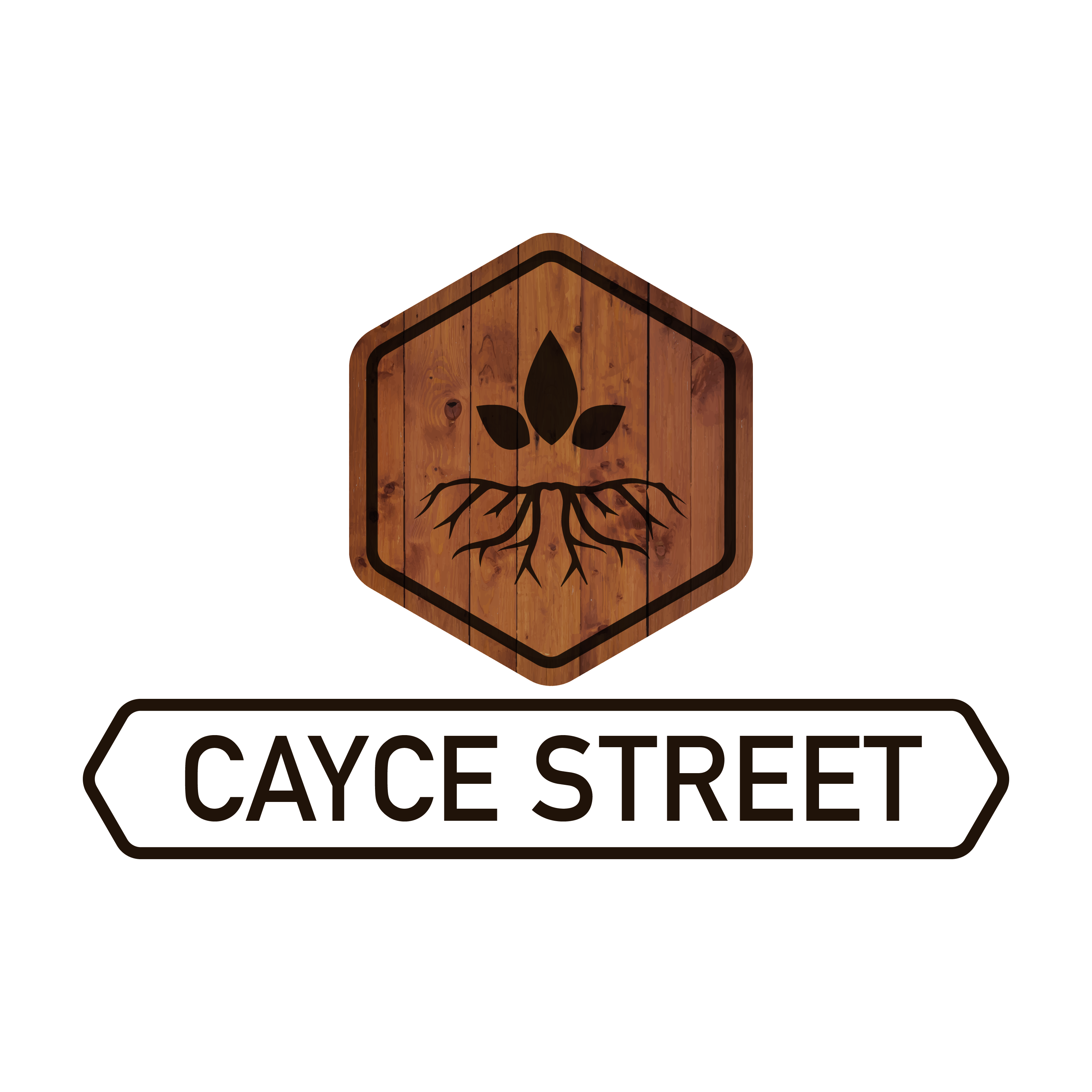 BMA%20GNR%202006%2004%2003%20Website%20V1 06