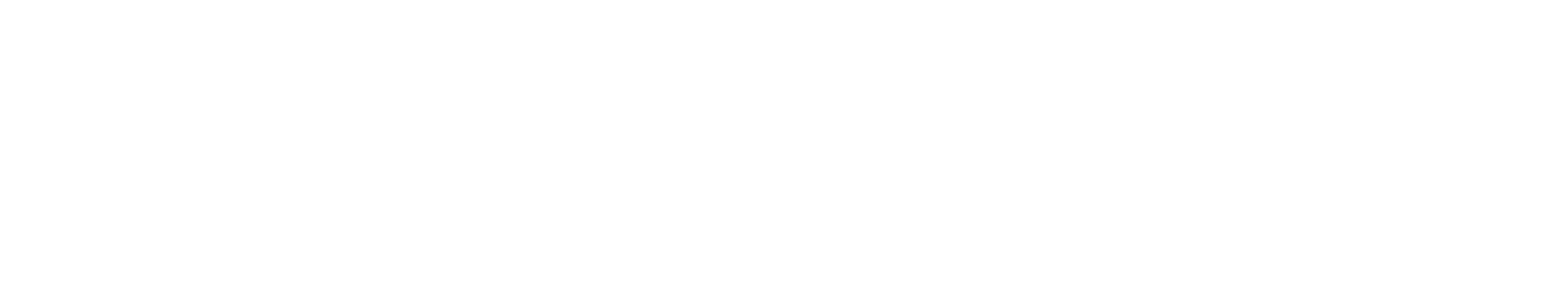 nVizable logo in white